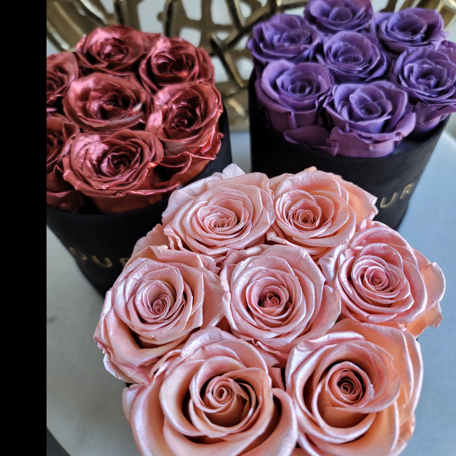 Petite Deluxe Velvet Bloom Box