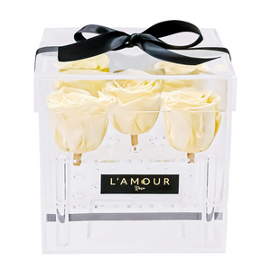 Champagne Petite Acrylic Box