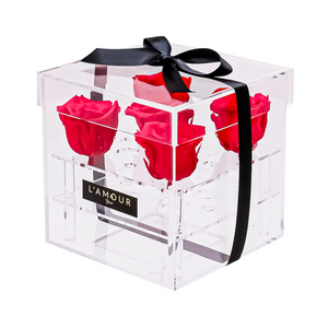 Red Petite Acrylic Box