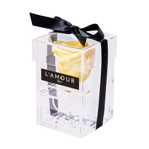 Yellow Mini Acrylic Box