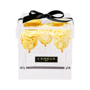 Yellow Petite Acrylic Box