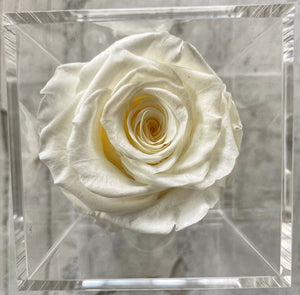 White Petite Velvets Box